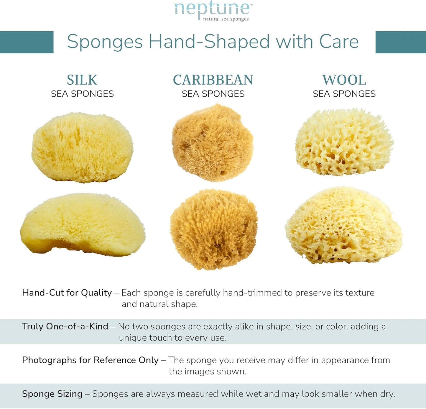 Neptune Caribbean Sea Sponge, Hand Cut, XXL, Approx. 8-9 inches