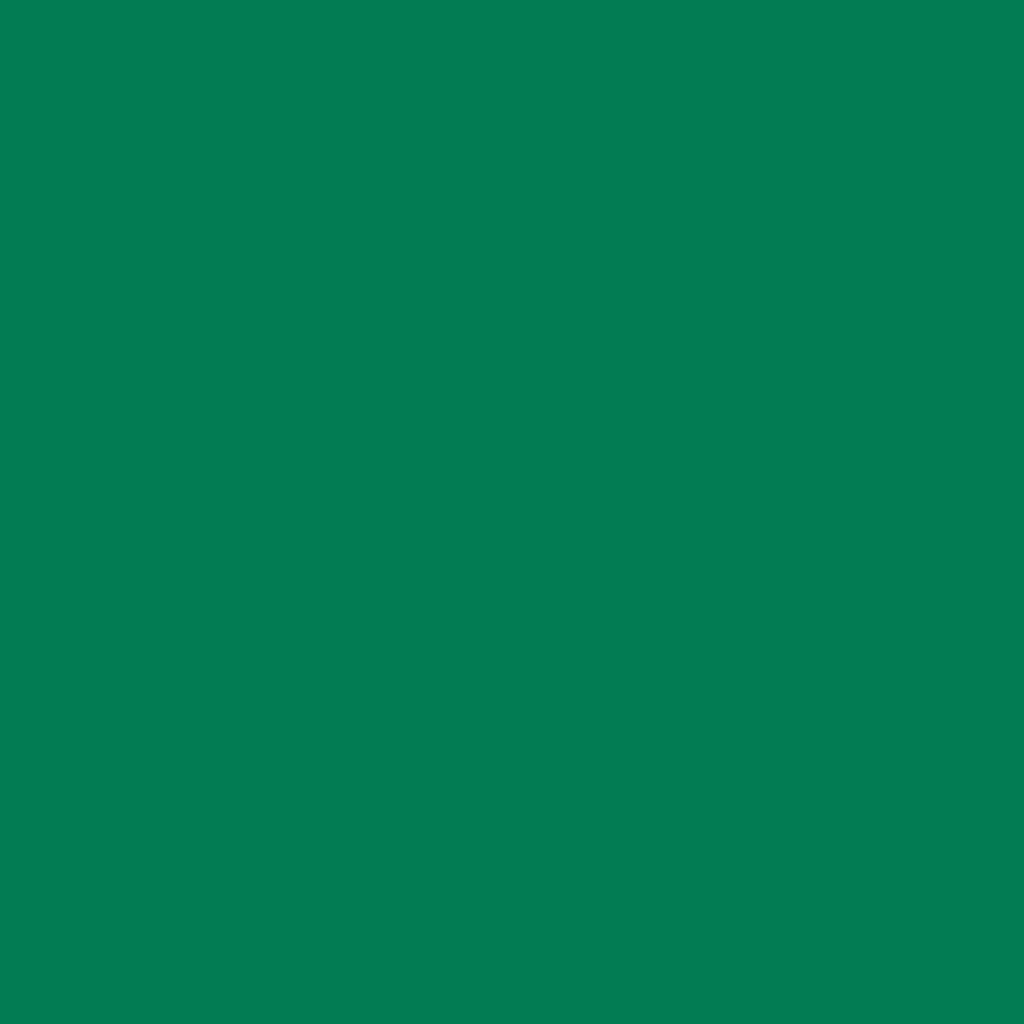 Ant Smart Adhesive Permanent Vinyl Compatible with Cricut Explore and Maker Series Without Cutting Mats, Create DIY Projects, Decals, Stickers & More (Green, 13inch x 15ft)