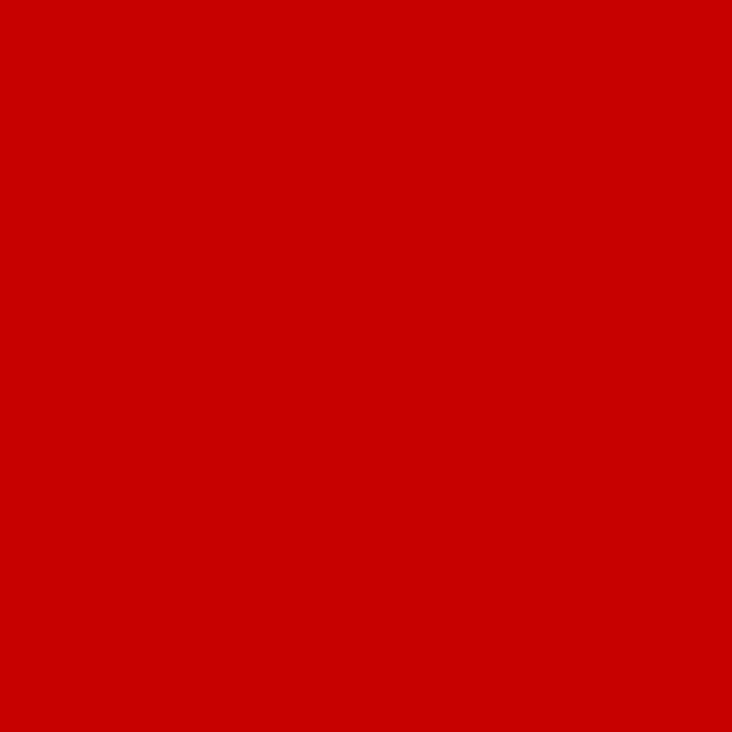 Ant Smart Adhesive Permanent Vinyl Compatible with Cricut Explore and Maker Series Without Cutting Mats, Create DIY Projects, Decals, Stickers & More (Red, 13inch x 15ft)