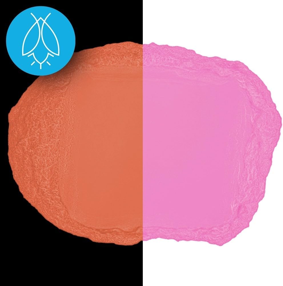 Glow in The Dark Pigment Powder - Neutral and Fluorescent Color for Art Painting, Fine Art, Nail Art Paint, and DIY Crafts - Long Lasting, 10+ Color Options - Fluorescent Pink - (12 Grams/ .42oz)