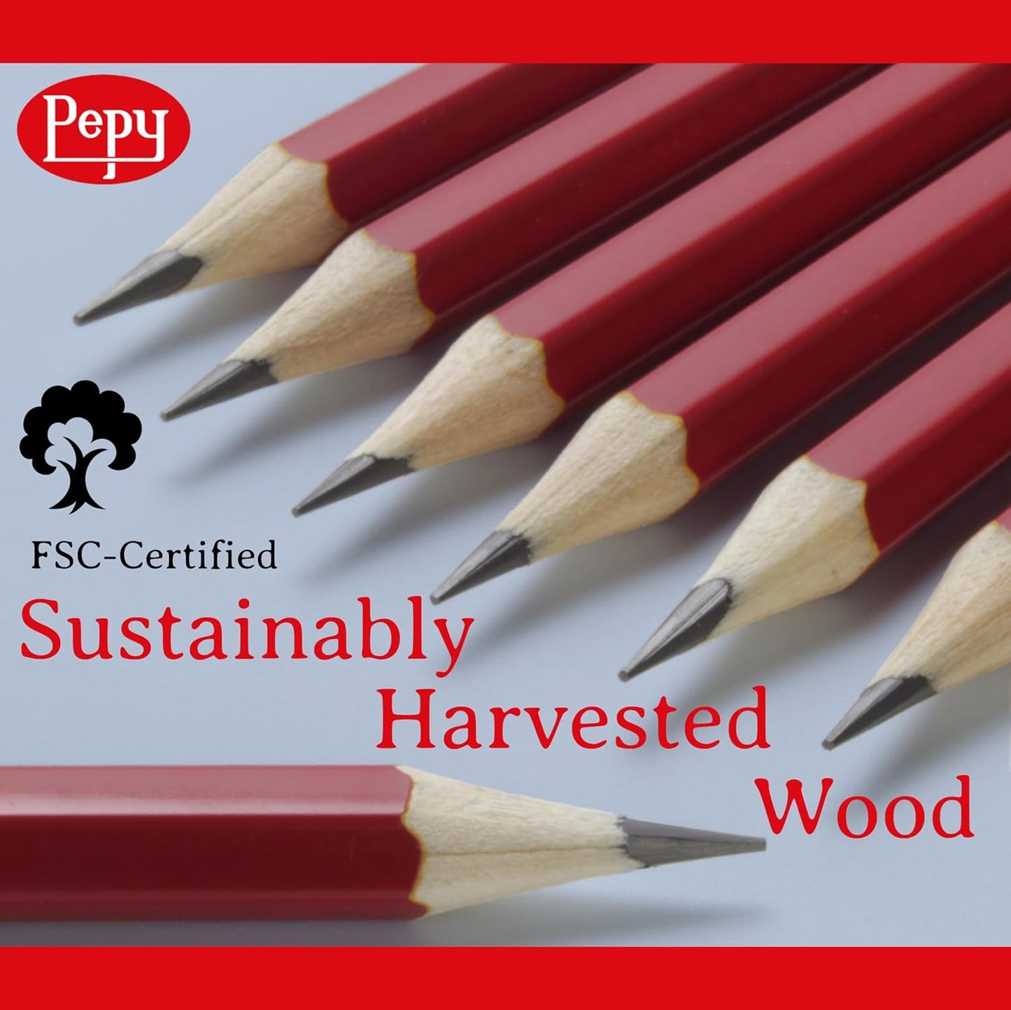 Pepy Graphite Professional Drawing Pencils - Set of 12 3B Pre-Sharpened Black Lead Pencils; Perfect for Drawing, Sketching and Shading, Graphic and Fine Art