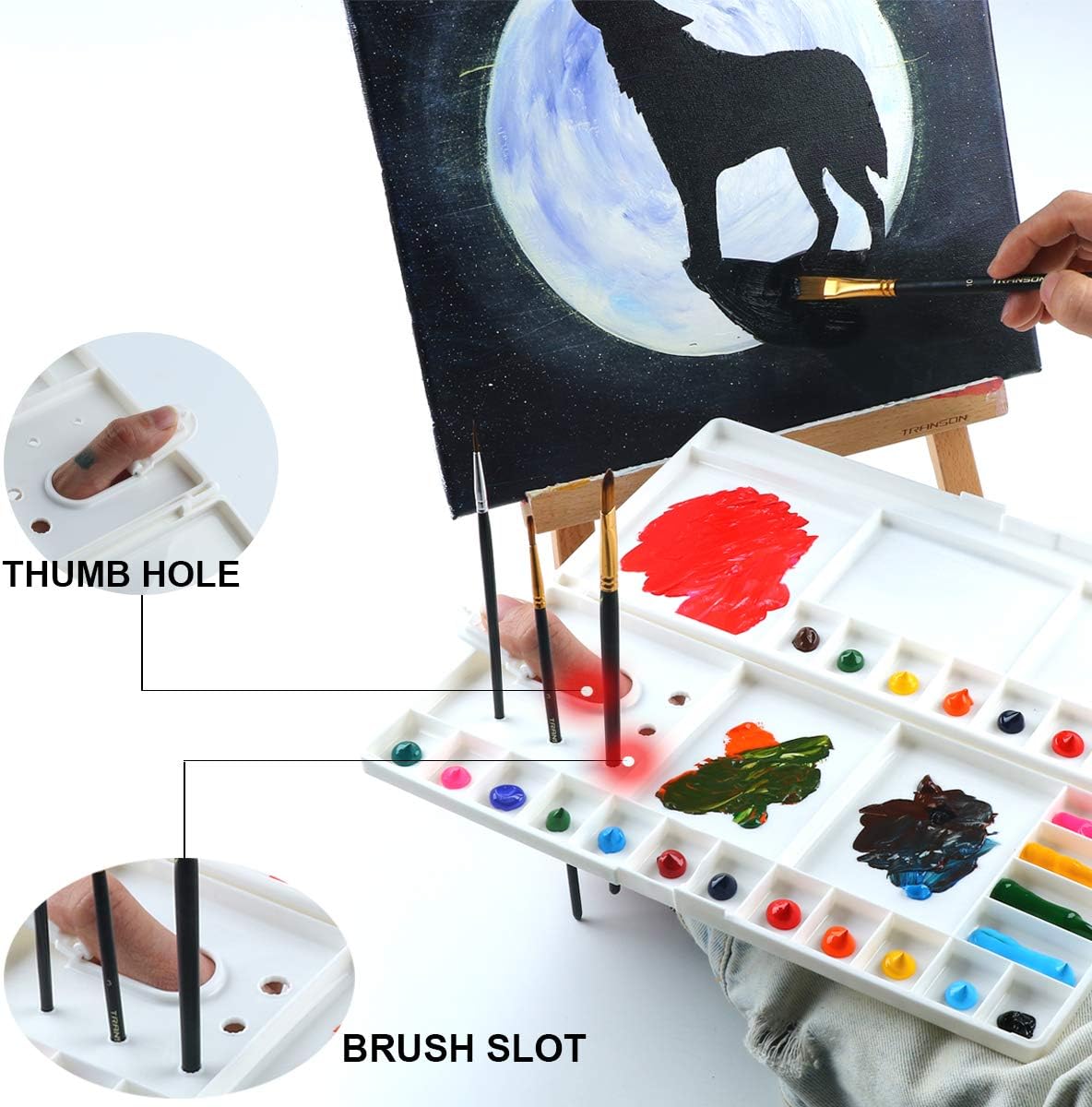 Transon Large Paint Palette Box 29 Color Mixing Wells with 1 Liner Brush