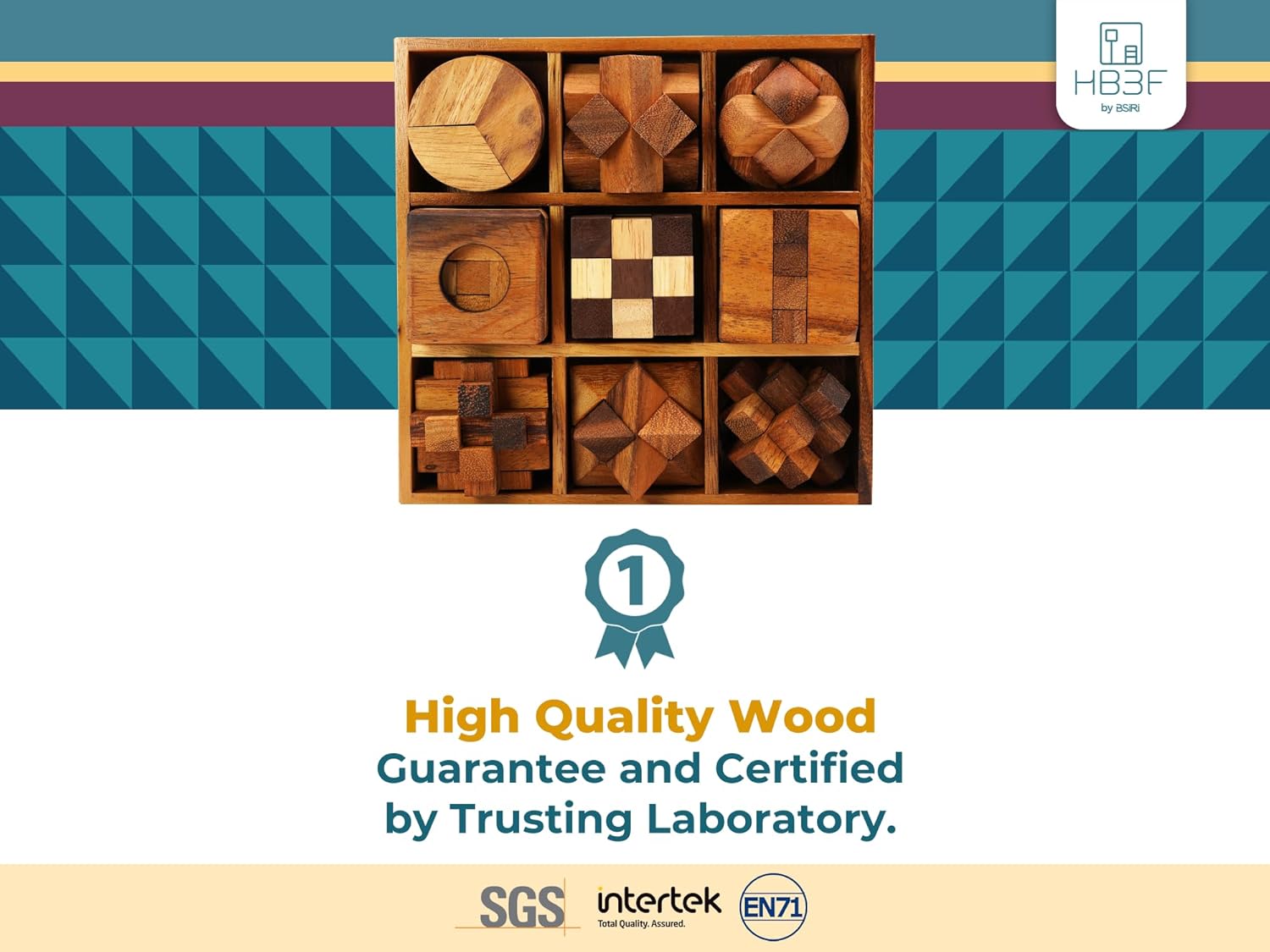 BSIRI 9 in 1 Wooden Brain Teaser Puzzles for Adults Teens and Kids Box Set for All Ages Wood Hard Level 10 Impossible Mind Wood Brain Teaser Games 3D Hand Puzzle Sets for Decoration and Mini Toys