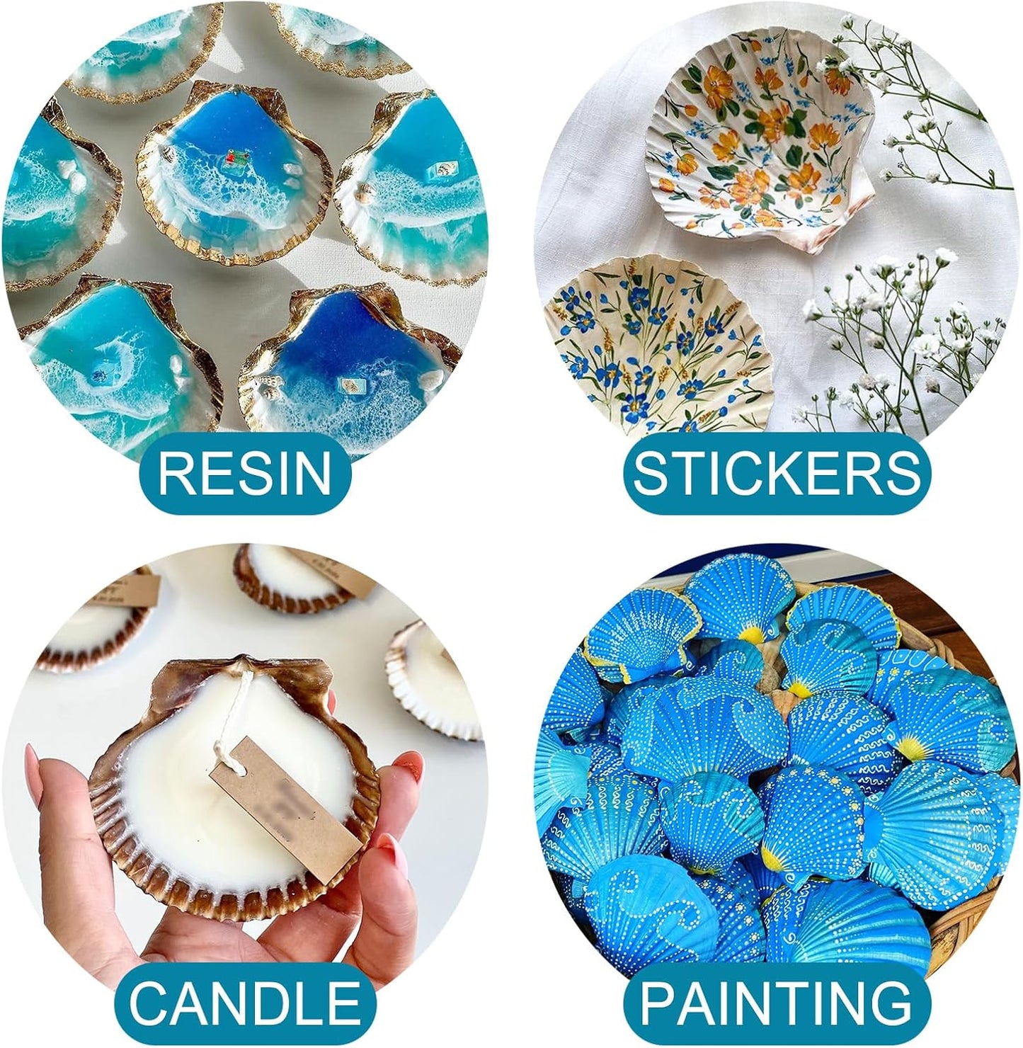 20PCS Natural Scallop Shells for Crafts & Baking - 6 Large (4-5in) & 14 Medium (2-3in) Seashells - DIY Painting, Beach Wedding Decor, Resin Art, Coastal Home Decoration, Party Centerpieces
