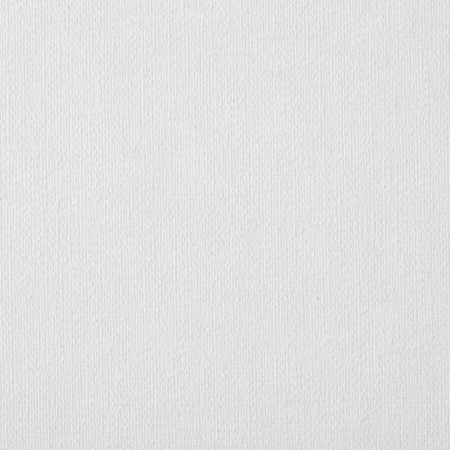 Centurion Deluxe Professional Oil Primed Linen Stretched Canvas, 11oz Linen, 12x16 - Box of 6, 0.67" Deep Canvases, Kiln-Dried Stretchers, Back Stapled, Premium Medium Weight Canvas for Oil Paintings