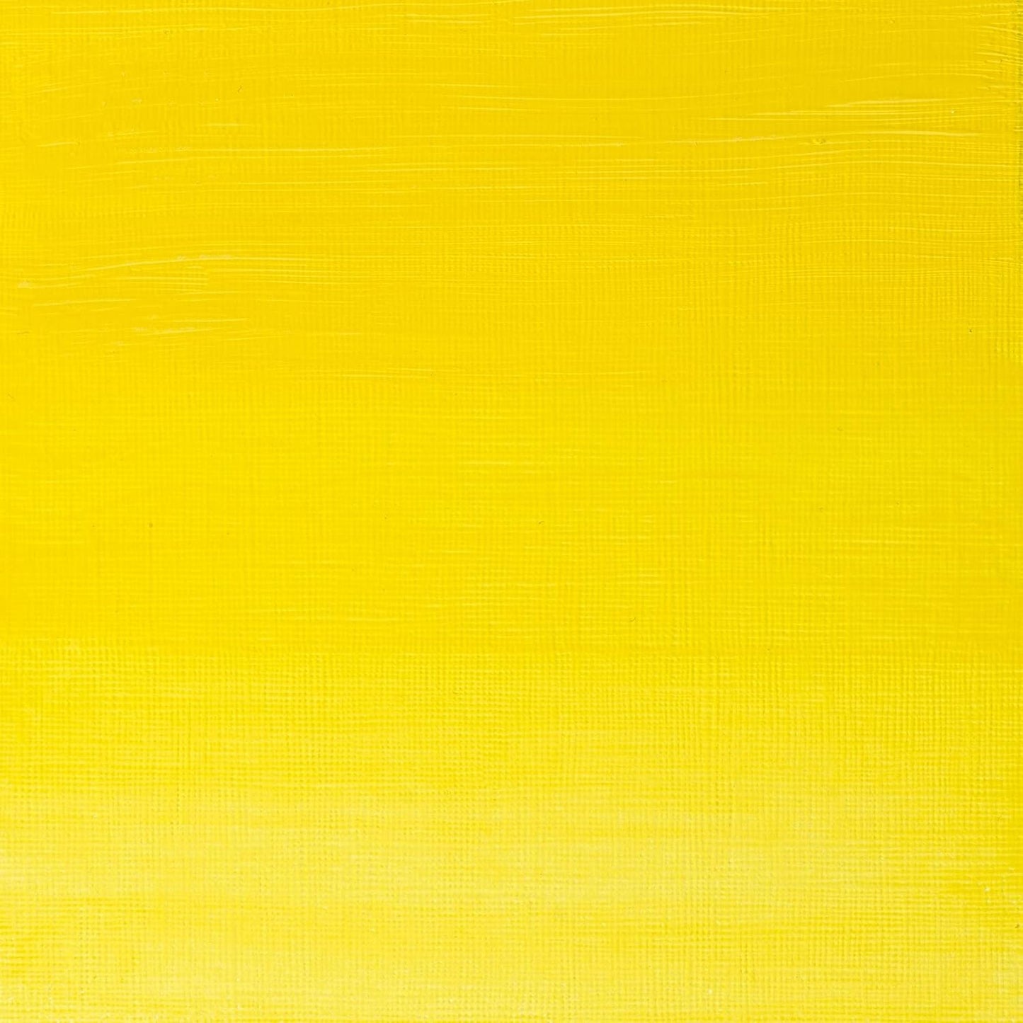 Winsor & Newton Artists' Oil Color, 37ml (1.25 oz) Tube, Winsor Lemon