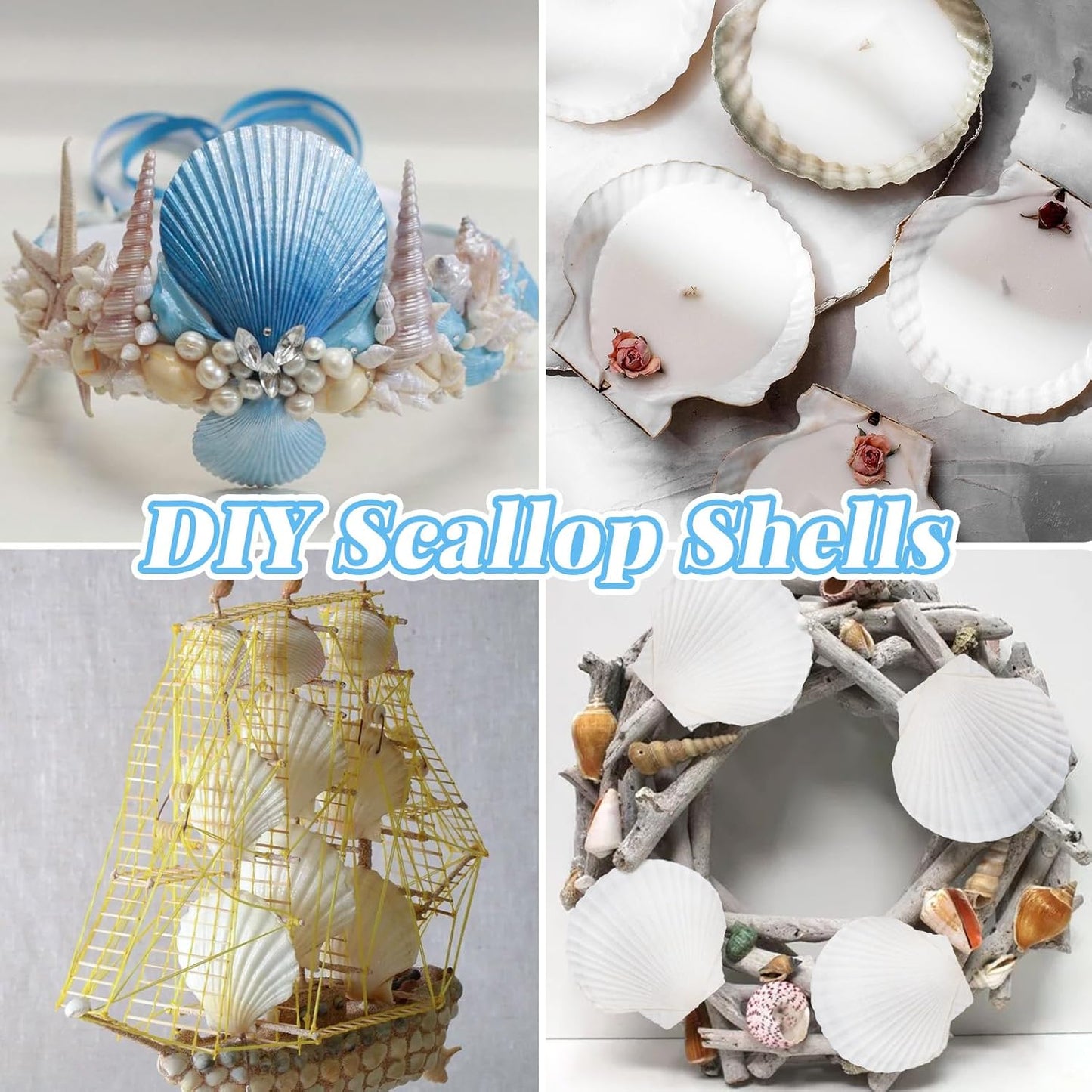 LUCKY BABY 16pcs Scallop Shells White Natural Sea Shells for Crafts 2.7-3.5 Inches Seashells for DIY Crafting Beach Wedding Home Decoration Baking (Pack of 2)