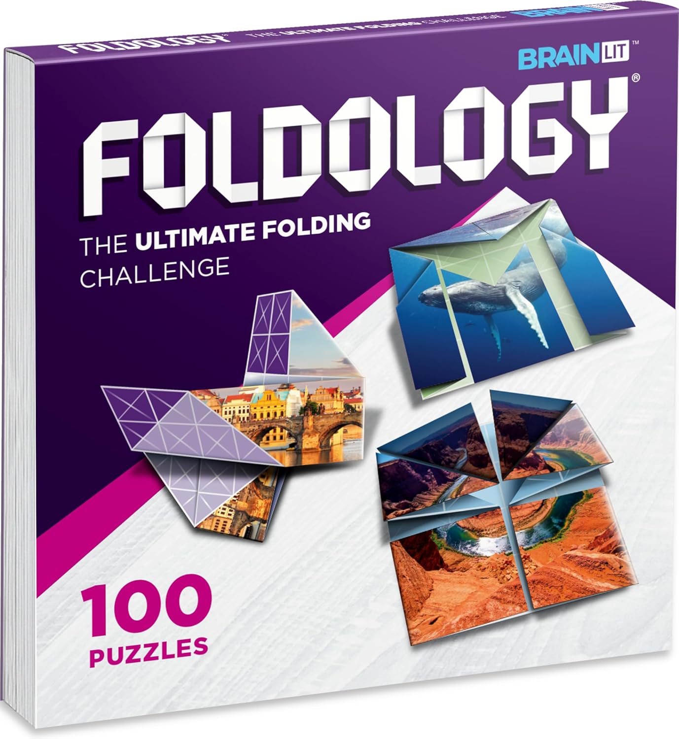 FOLDOLOGY - The Origami Puzzle Game! Brain Teasers for Tweens, Teens & Adults | Travel Game, Hands-On STEM Toy, Stocking Stuffer, Gift for Ages 10+ | Fold the Paper, Complete the Picture | 100 Puzzles