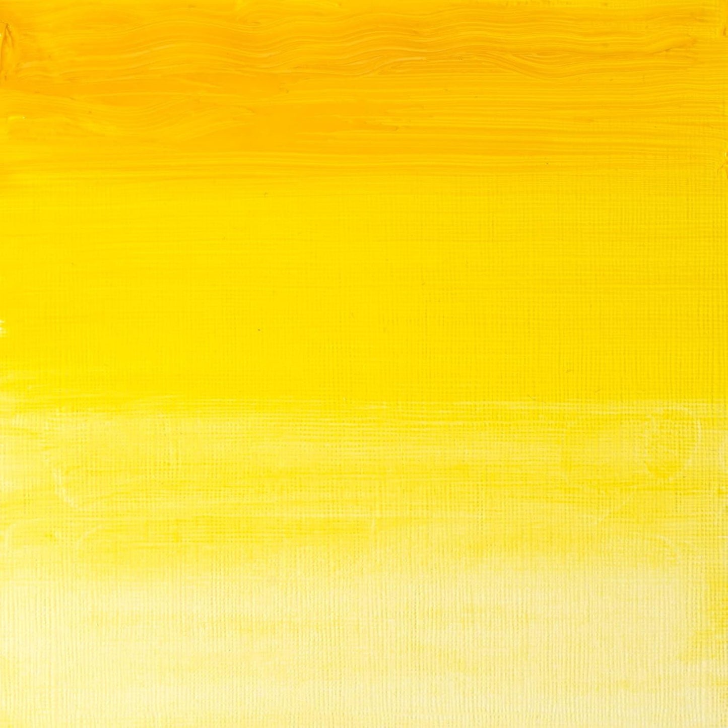 Winsor & Newton Artists' Oil Color, 37ml (1.25 oz) Tube, Transparent Yellow