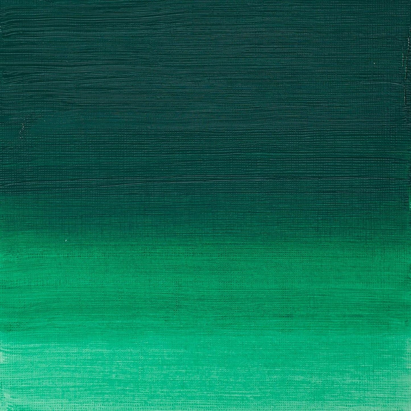 Winsor & Newton Artists' Oil Color, 37ml (1.25 oz) Tube, Permanent Green Deep